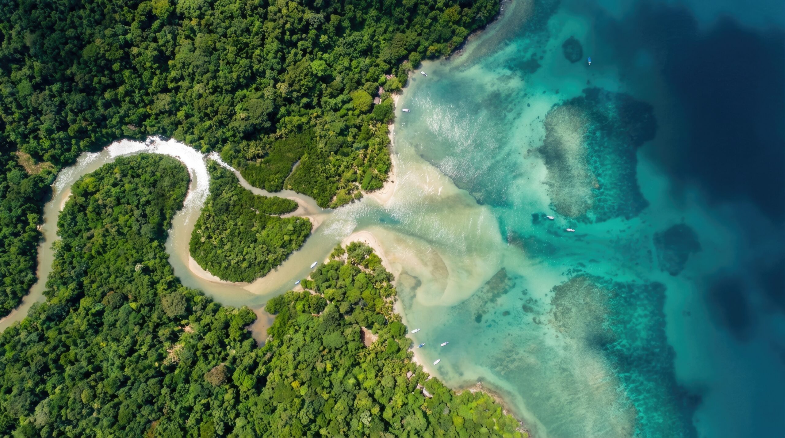 World wetlands day aerial view shows a river winding through green vegetation towards the coast meeting the blue ocean waters
