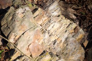 dki_7AWCVaIgCqFfZZkSSWJnAhKlsIwKQ1hJaKoHc-E0o6p3vpRu3PAusx476PREOgS8EyI-n58a1S2kM3N9DYwyUEOLVSOMGLB2l6ibK4w